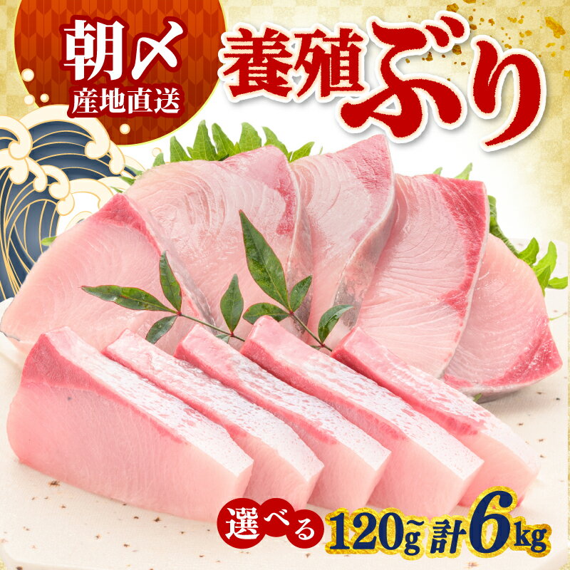 【ふるさと納税】 ぶり 120g 400g 1kg 2kg 6kg 定期便 冷蔵 刺身 ブリ 鰤 お刺身 お刺し身 たたき しゃぶしゃぶ 鍋 カルパッチョ 丼 海鮮丼 養殖 ギフト 贈答用 お歳暮 お中元 お祝い 人気 高知県 四国 宿毛 サンライズファーム