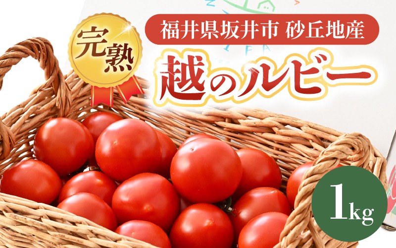 
                  【先行予約】 完熟越のルビー 1kg 福井県坂井市砂丘地産 農家直送 【2026年10月上旬以降順次発送予定】 とまと トマト ミディトマト 華小町 野菜 生野菜 美容 健康 新鮮 産地直送 国産 [A-22101]
                