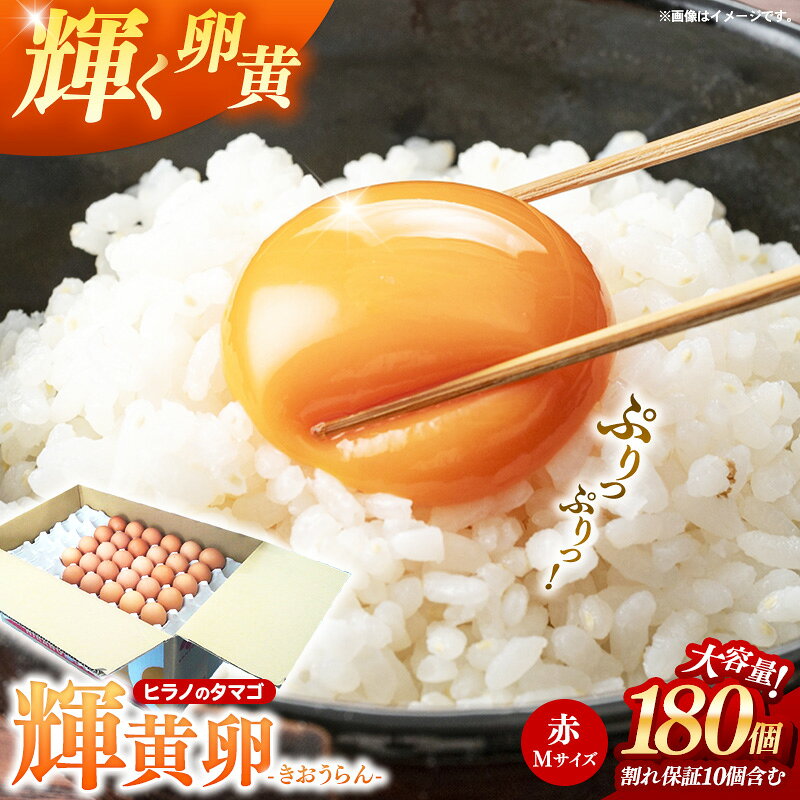 【ふるさと納税】ヒラノのたまご 輝黄卵(きおうらん) 赤Mサイズ 180個 ／ 割れ保証込み 卵 たまご タマゴ 国産 新鮮 直送 輝黄卵 朝ごはん 卵かけごはん 福岡県 筑前町