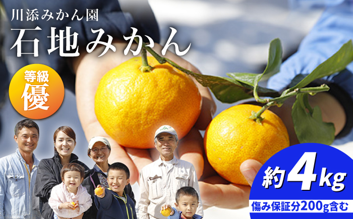 【12月上旬より配送】【優】石地みかん 約4kg（傷み保証分200g含む）＜川添みかん園＞ [CCT005] みかん ミカン 柑橘 西海みかん 西海 贈答 ギフト 贈り物