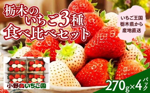 
                  栃木のいちご 3種 食べ比べセット | 栃木苺 栃木いちご 栃木食べ比べ 栃木アソート 栃木詰め合わせ 3種苺 3種いちご 3種食べ比べ いちご食べ比べ いちごアソート いちご詰め合わせ セットいちご イチゴ ストロベリー たべくらべ テイスティング つめあわせ 詰合せ 苺セット いちごセット フルーツセット 果物セット バラエティセット※2027年1月～発送
                