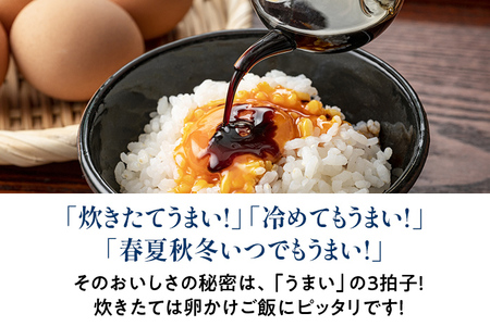 福岡の美味しいお米 元気つくし 5kg 令和4年度産 福岡県産 白米 お米 ご飯 ごはん 米 精米 おこめ こめ 送料無料