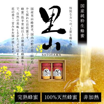 ふるさと納税 八女市 かの蜂の国産里山蜂蜜 純粋蜂蜜(500g×2本)セット 八女市 |  | 01