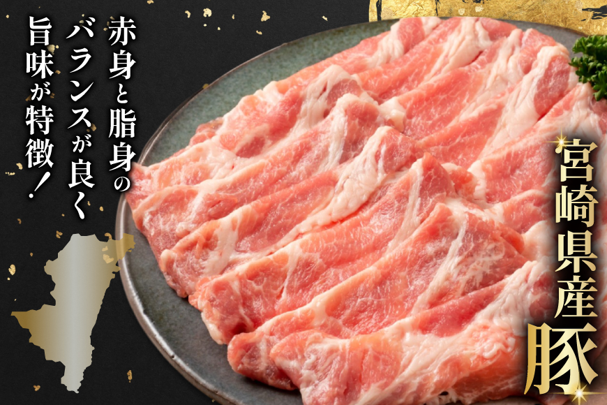 豚肉 宮崎県産 豚肉 選べる バラエティ セット2 合計4.5kg [南九フーズ 宮崎県 日向市 452061301-b] セット 切り落とし 小分け バラ こま切れ ロース 詰め合わせ ミンチ 豚ミ