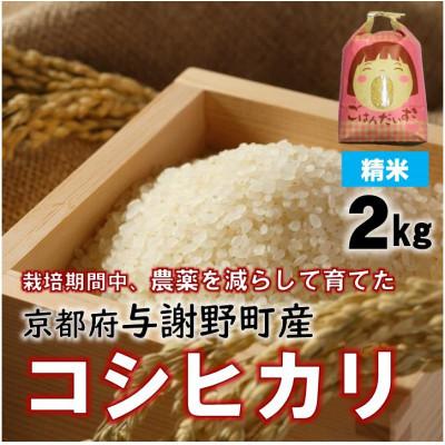 ふるさと納税 与謝野町 京都丹後産コシヒカリ 精米2kg 栽培期間中、農薬を減らして育てたお米　農家直送