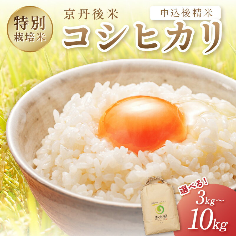 【ふるさと納税】＼容量が選べる！／王道のお米★ 2025年産 京丹後米 特別栽培米コシヒカリ 3kg 5kg 10kg 注文後精米 米 京丹後 特別栽培米 農家直送 米 こめ ふるさと 納税 コシヒカリ 精米 ふるさと 納税 こしひかり ふるさと 納税 米 精米 京都産 京丹後 野木源