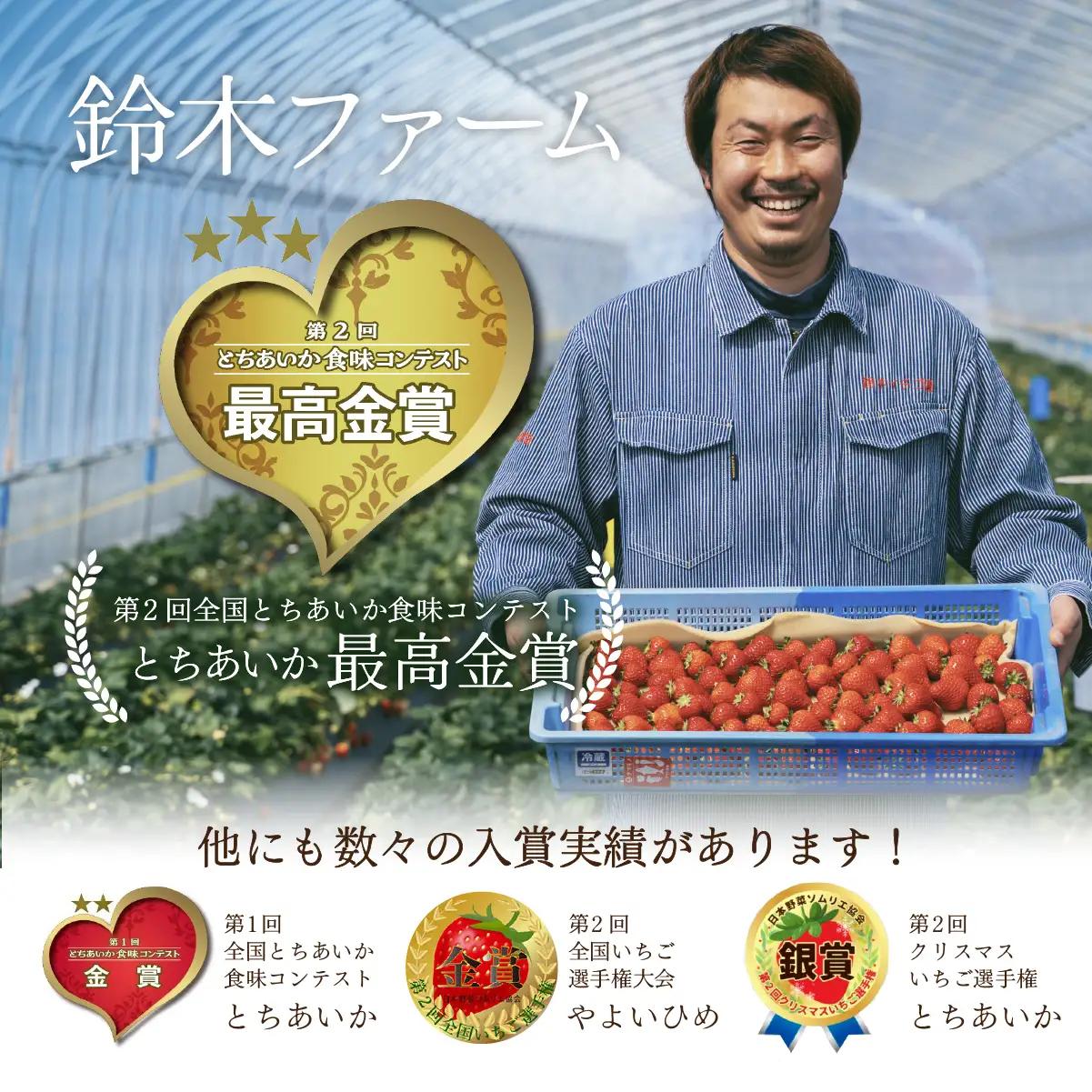 いちご【2月以降発送】朝採れとちあいか 大粒 約270g × 2パック 合計 約540g |イチゴ いちご