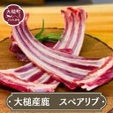 【ふるさと納税】ジビエ 鹿肉 スペアリブ 200~400g 岩手県大槌町 大槌ジビエ 大槌鹿 鹿 肉 国産 骨付き肉 煮物 ロースト シカ しか 骨付き 冷凍 送料無料 MOMIJI 岩手県 いわて iwate 三陸 大槌