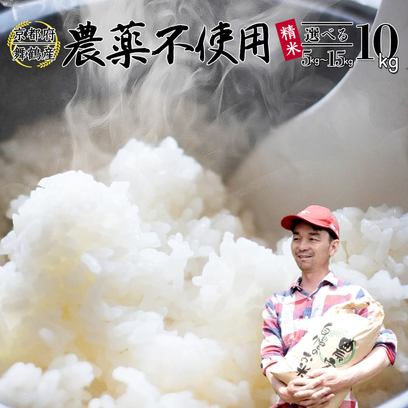 【令和7年度産 新米 先行予約】 棚田米 10kg 精米 ： コシヒカリ 栽培期間中農薬不使用 京都産 お米 農家直送 こしひかり 米 ご飯 白米 無農薬 栽培 棚田 無農薬米 おいいしお米 無農薬コシヒカリ 無農薬こしひかり