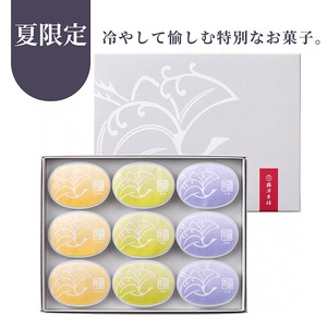 夏限定 本蕨 9個入 こしあん／小倉／抹茶 3種類＜京菓匠 鶴屋吉信＞｜本わらび わらび餅 わらびもち 和菓子 お菓子 ギフト お中元 デザート ※2025年5月下旬～8月末頃に順次発送予定