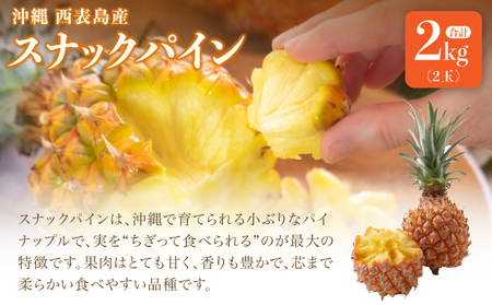 訳あり 2024年 先行予約 セット パイナップル 2kg 甘さをぎゅっと詰め込んだ100％ パイナップルジュース 1本 大きさ不揃い パイン 果物 フルーツ