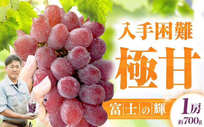 
                  【先行予約 8月下旬より発送】富士の輝 1房（約700g） 果物 くだもの 葡萄 ぶどう ブドウ シャインマスカット マスカット ますかっと しゃいんますかっと クダモノ フルーツ ふるーつ デザート でざーと スイーツ すいーつ 広川町 / 井上農園 [AFCK001]
                