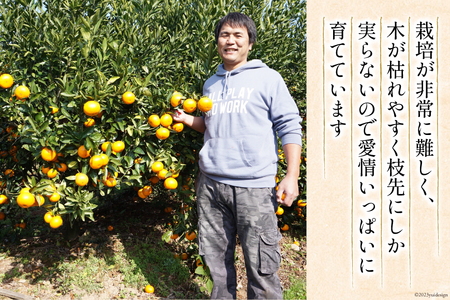 【期間限定発送】 みかん 訳あり 日向ひまわり 石地みかん 2S ～ L サイズ 5kg [ひまわり農園 宮崎県 日向市 452061493] ミカン 小玉 大玉 柑橘 家庭用 数量限定