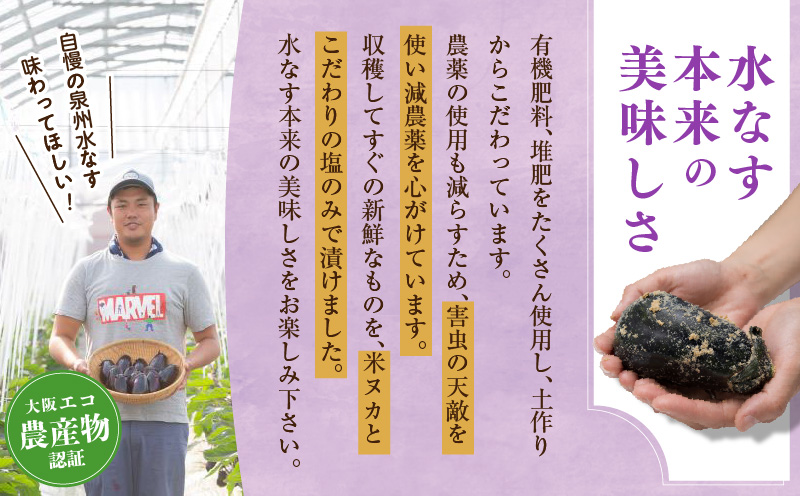 特選 無添加 水なす漬け 4個【新鮮 野菜 泉佐野産 茄子 やさい TONOファーム 高評価 数量限定】 G1100