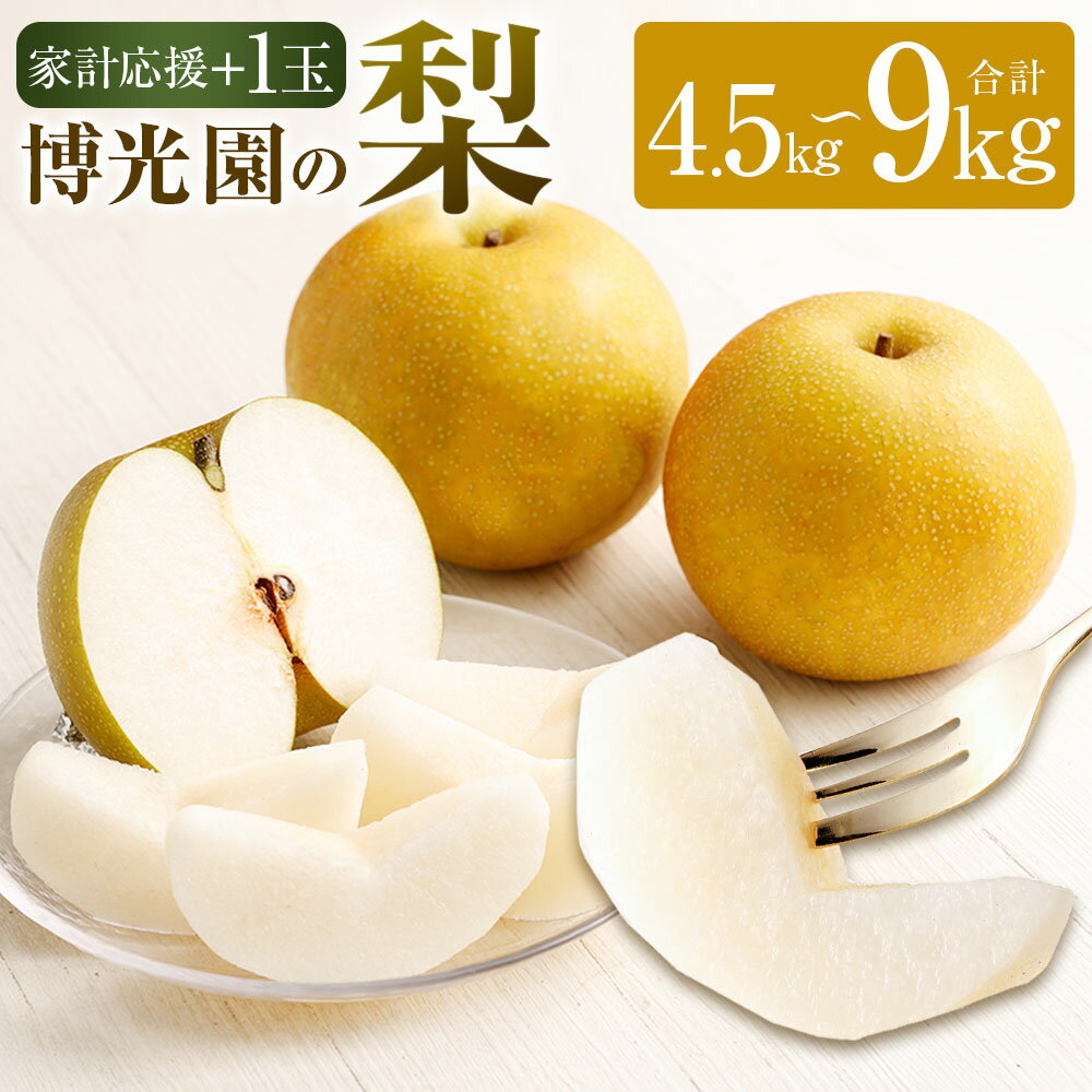 【ふるさと納税】【家計応援】【数量限定】梨＋1玉 約4.5kg/約7kg/約9kg 選べる内容量 豊水 20世紀 新高 新興 なし ナシ 果物 くだもの フルーツ 果実 九州産 国産 福岡県産 送料無料【2025年9月下旬～12月下旬発送予定】