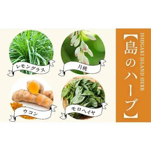 チャンプルの素　60g　袋入×2袋　PN-5