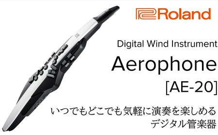 【Roland】電子管楽器/Aerophone AE-20【配送不可：離島】 雑貨 日用品 