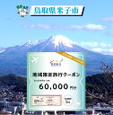 【ふるさと納税】鳥取県米子市 日本旅行地域限定旅行クーポン60,000円分【24-200-006】宿泊 宿泊券 旅行 トラベル ホテル 旅館 温泉 皆生温泉 観光 体験 交通費 レンタカー JR券 航空券 チケット ビジネス 夏休み 冬休み 家族旅行 レジャー 【有効期間：発行日より5年間】