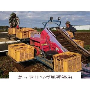 【12月順次発送予定】山一ファーム 熟成さつまいも5kg 食べ比べセットA 紅はるかとシルクスイート【配送不可地域：離島・沖縄県】【1647856】