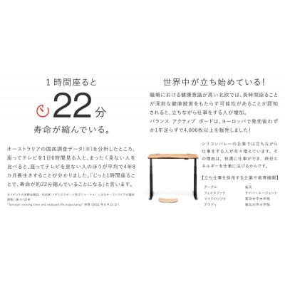 ふるさと納税 美濃市 バランス アクティブ ボード(マット付き) バランスボード バランスディスク 体幹 トレーニング |  | 01