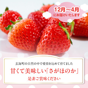 佐賀県玄海町産さがほのか【B158】