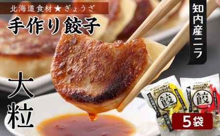 餃子 北海道の食材たっぷり！手作り餃子５袋セット スリーエス にら 大粒 ぎょうざ しょうが 惣菜 加工品 豚肉