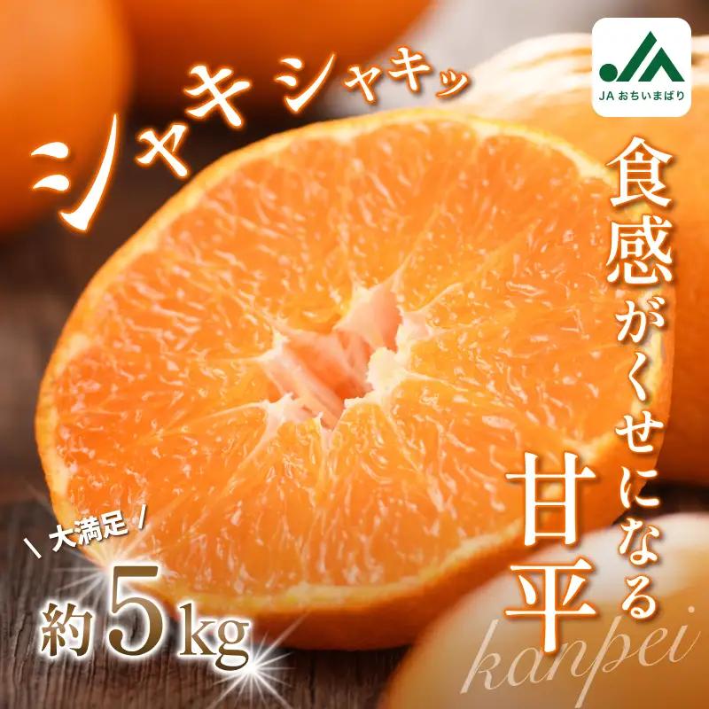 【先行予約】甘平（家庭用）レギュラー箱 約5kg 