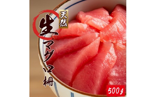 
那智勝浦直送！天然生まぐろ 冊 500g / マグロ 鮪 まぐろ メバチ キハダ 魚 海鮮 刺身 柵 さく【uot806】

