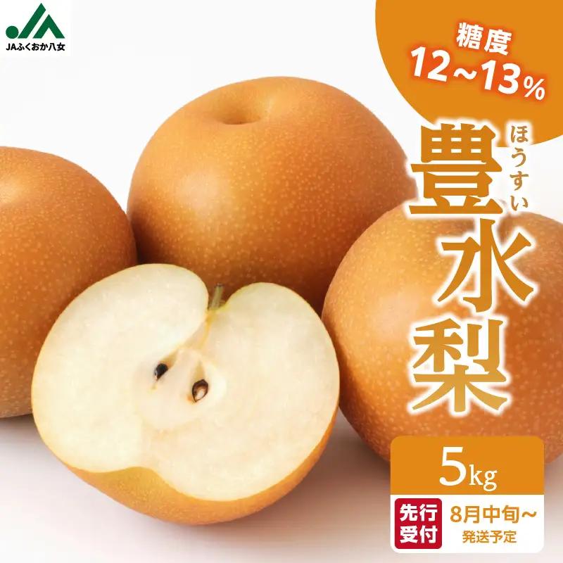 豊水梨(5kg) 糖度12～13%【JAふくおか八女】｜8月中旬～発送予定 002-009
