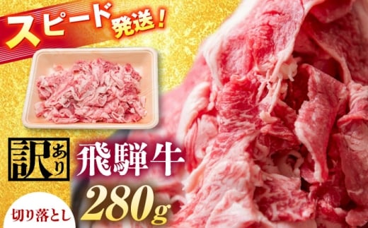 飛騨牛 切り落とし 280g 瑞浪市 /  [AZDB002]