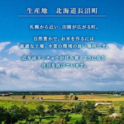【令和7年産 新米】北海道長沼産 ななつぼし 5kg 精米 特A 契約栽培米