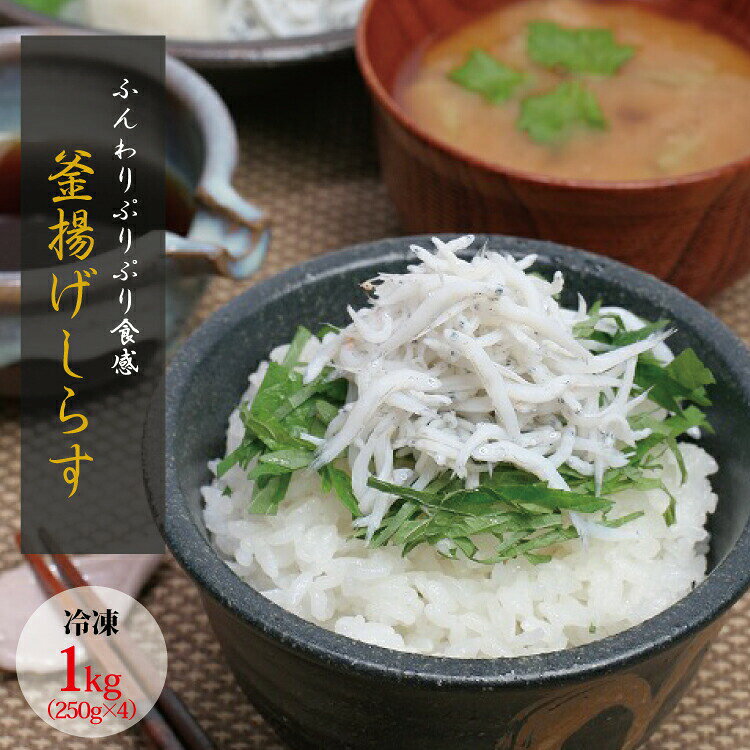 【ふるさと納税】 茹でたて釜揚げしらす 1kg(250g×4パック)【冷凍】