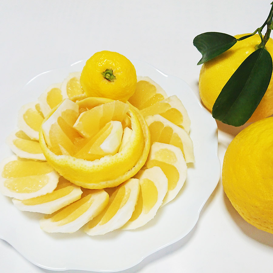 露地日向夏（オール葉付）2.5ｋｇ化粧箱入り（５Lサイズ）