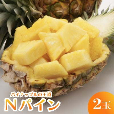 【2025年7月〜8月の発送】パイナップルの王道 Nパイン2玉【配送不可地域：離島】【1577568】