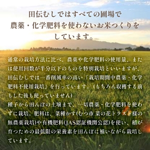 特別栽培米 ササニシキ 白米 3kg × 3回 定期便 （合計9kg）