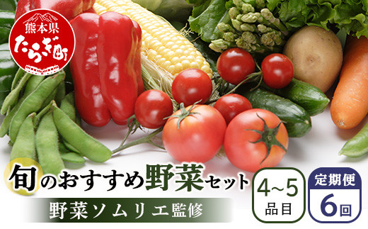 【定期便 6回】野菜ソムリエ 監修 旬の おすすめ 野菜 セット 　4〜6品 (1〜2名様向け) 6回配送 数量限定 新鮮 野菜 セット 詰め合わせ 詰合せ 定期便 産地 直送 国産 季節の野菜 ひとり 暮らし 夫婦 二人  024-0803