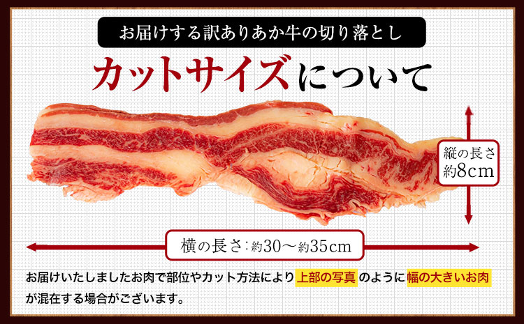 訳あり あか牛（褐毛和牛）切り落とし福袋 1.2kg 熊本県産 肉 和牛 牛肉 冷凍 規格外 不揃い《1-5営業日以内に出荷予定(土日祝除く)》送料無料