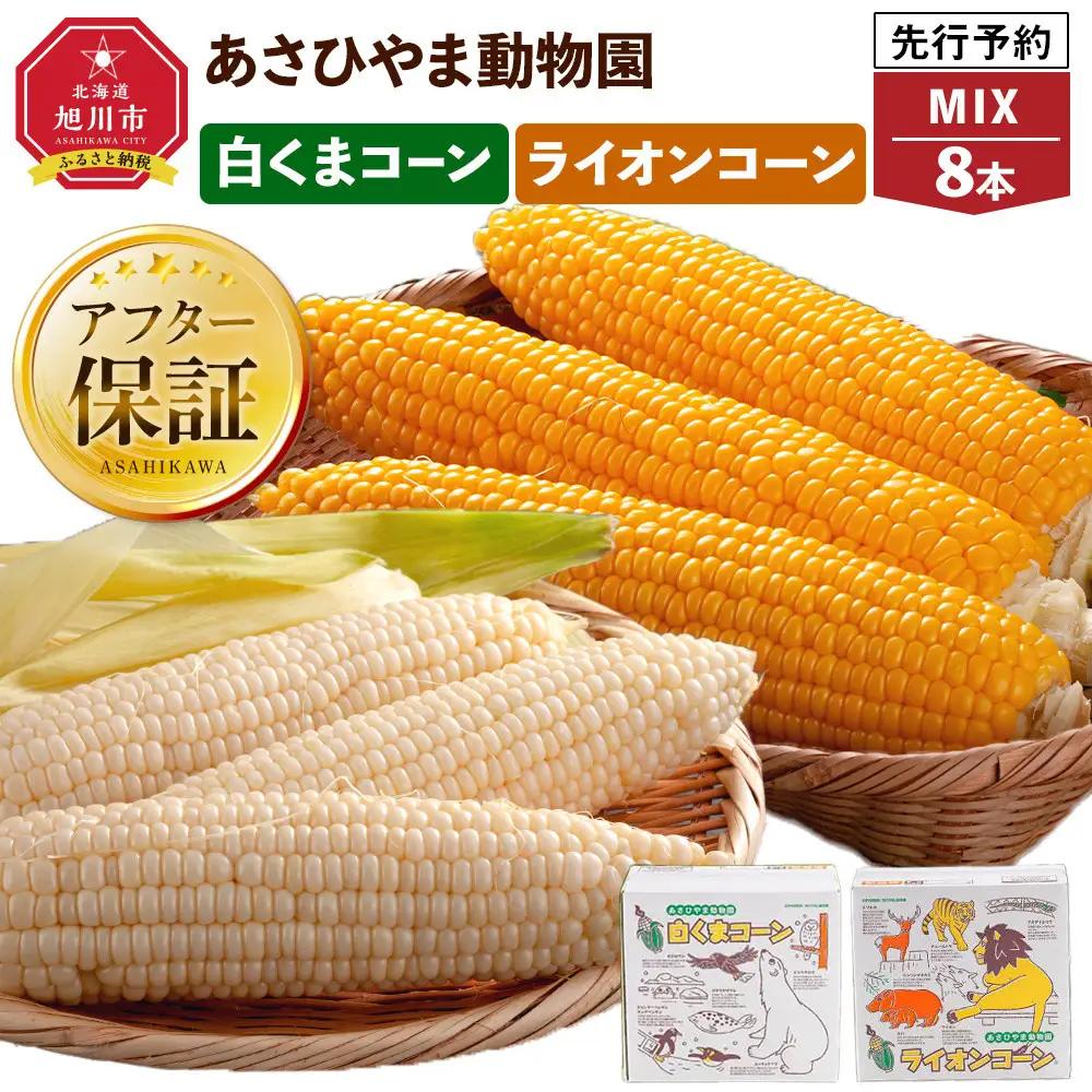 【先行予約】旭山動物園　白くま ライオンコーン MIX 合計8本（2026年8月中旬から発送開始） | とうもろこし とうもろこし 北海道 限定 _03815