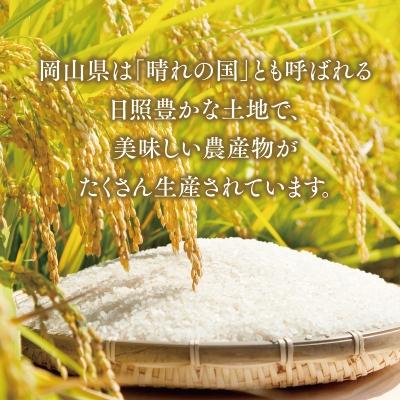 ふるさと納税 津山市 おいしいお米(5kg) 無洗米 リピーター続出 きぬむすめ |  | 01