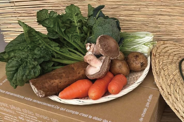 【10ヶ月定期便】★毎月上旬発送★身体が喜ぶ季節の野菜 10～12品目｜野菜 やさい 野菜セット セット 詰め合わせ おまかせ 定期便 野菜定期便 茨城県 行方市(BI-110)