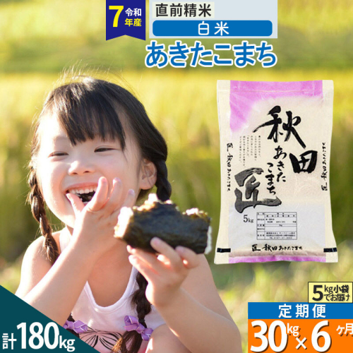 【白米】＜令和7年産＞ 《定期便6ヶ月》秋田県産 あきたこまち 30kg (5kg×6袋)×6回 30キロ お米 匠  精米30kg [サンファーム西木定期便 お米定期便 白米 あきたこまち ごはん 米 お米]