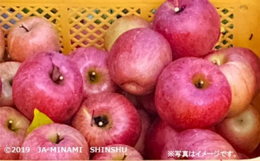 
            7-J15　キズありサンふじ（ご家庭用）約10kg
          
