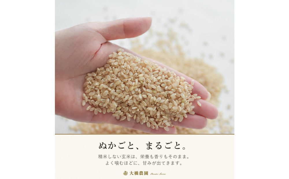 令和8年　玄米ヒノヒカリ9kg