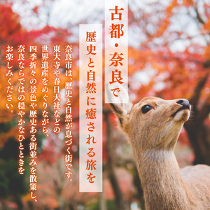 HISふるさと納税宿泊予約専用クーポン（奈良県奈良市）60,000円分