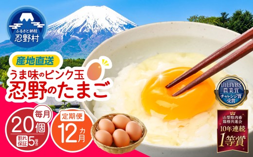 【12ヶ月定期便】”忍野の卵”旨味のピンク玉 （毎月20個×12回） ※割れ保証含む　[卵 定期便 定期 国産 産地直送 毎月 生卵 玉子 たまご 卵かけご飯 卵焼き 親子丼 目玉焼き すき焼き オム