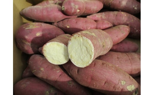 有機JASさつまいも　先行予約（5kg/訳あり/S~Lサイズ）