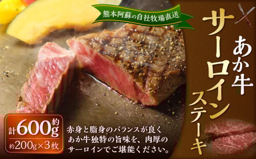 あか牛 サーロインステーキ 約600g（あか牛サーロインステーキ 約200g×3枚） 肉 お肉 牛肉 和牛 褐毛和種 国産 九州産 冷凍 熊本県 湯前町