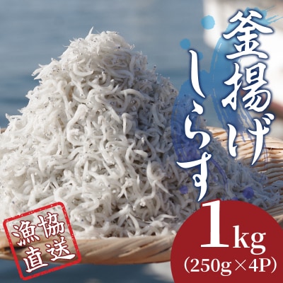 しらす 釜揚げ 1kg(250g×4パック)冷凍 小分け 漁協直送