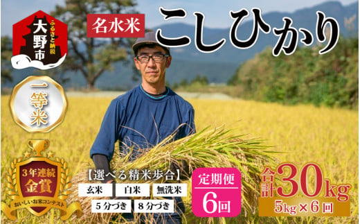 【令和6年産 新米】【6ヶ月定期便】越前大野産 一等米 帰山農園の棚田育ちコシヒカリ 玄米 5kg × 6回 計30kg 