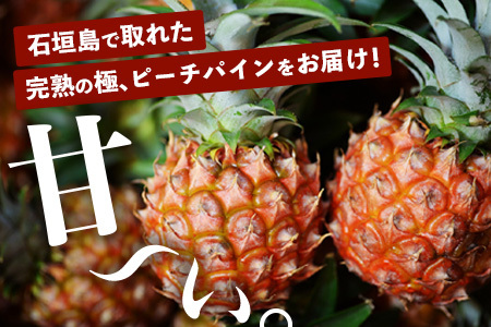 《2024年4月～7月下旬発送》【先行予約】最高糖度20度！？ 完熟の極 石垣島産パイナップル　ピーチパイン3個セット　TF-1